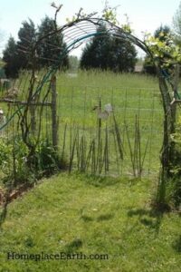 In Praise of Livestock Panels Image